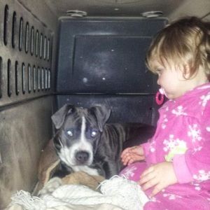 Meet your Posher, Kavina